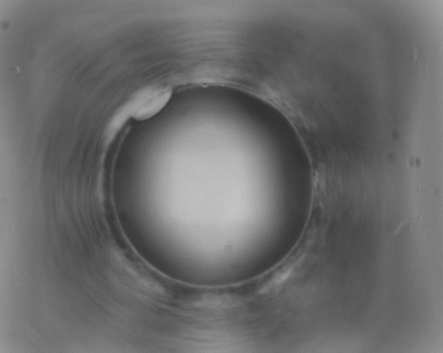 X0000076430292200610202252