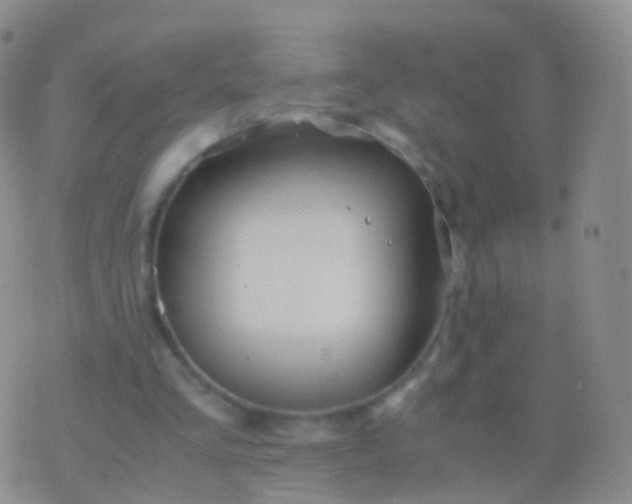 X0000076430293200610202252