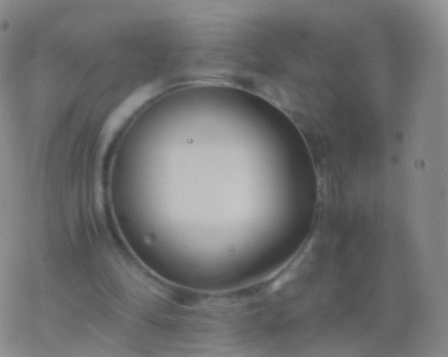 X0000076430294200610202252