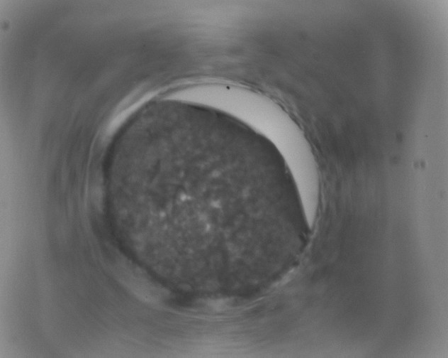 X0000076430295200610202252