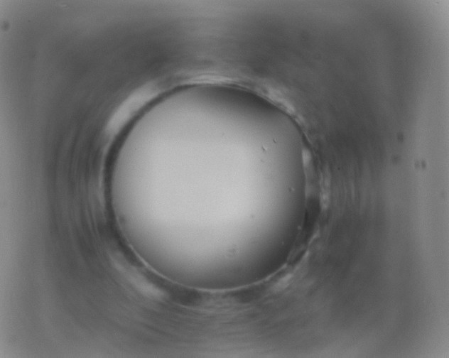 X0000076430296200610202252