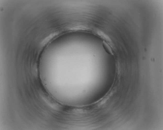 X0000076430298200610202252