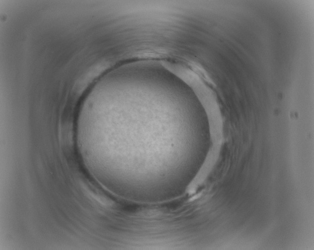 X0000076430299200610202252