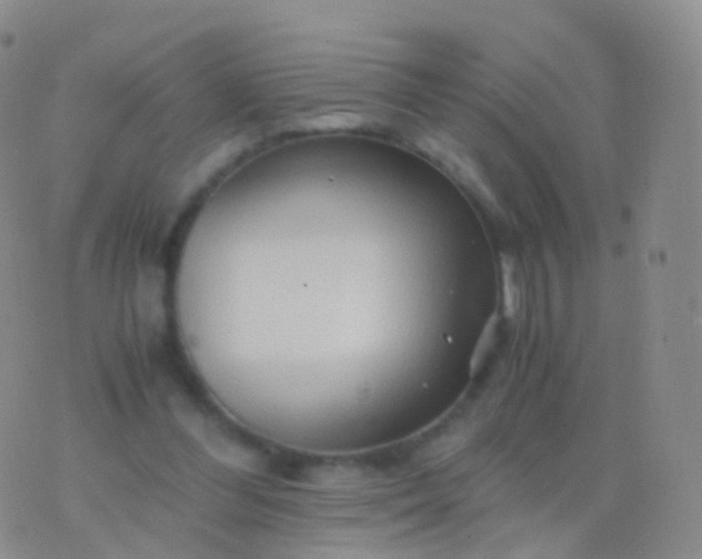 X0000076430300200610202252