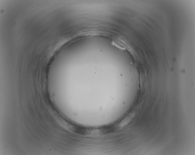 X0000076430301200610202252