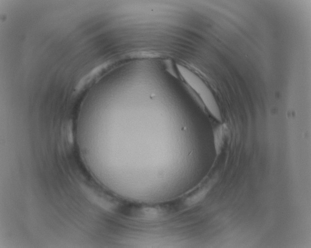 X0000076430302200610202251