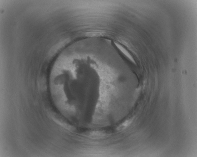 X0000076430303200610202251