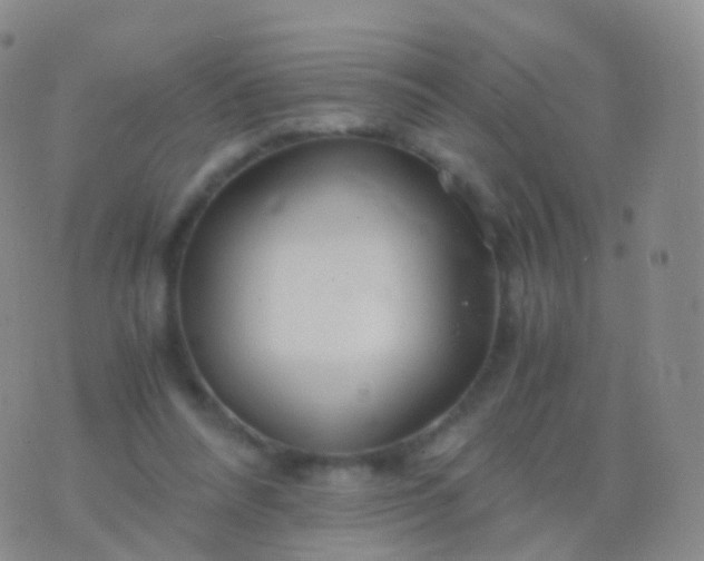 X0000076430304200610202251