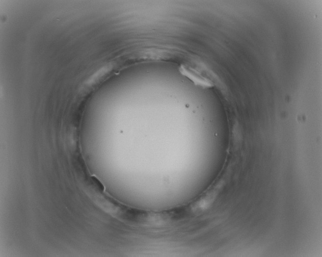 X0000076430305200610202251