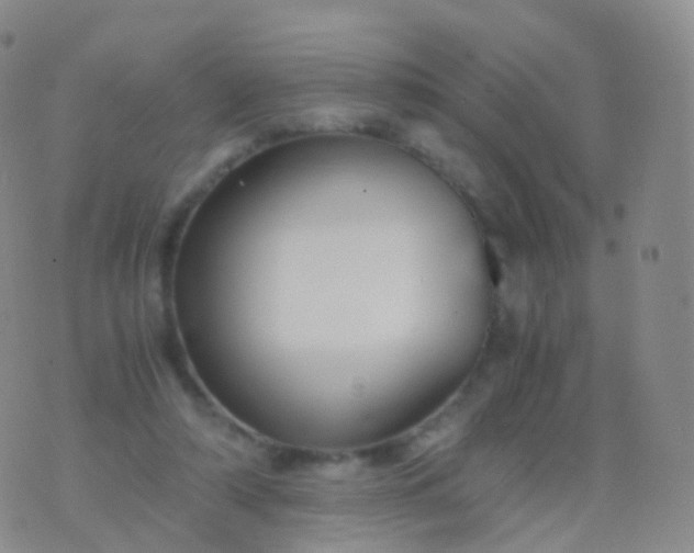 X0000076430306200610202251