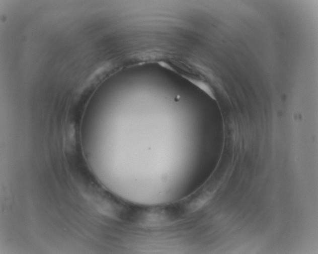 X0000076430308200610202251