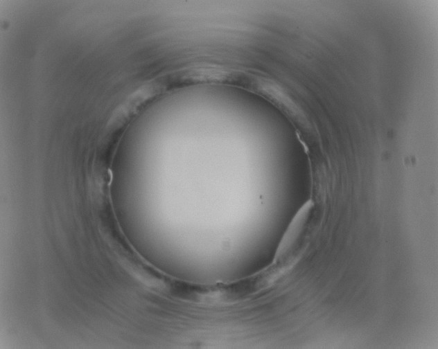 X0000076430309200610202251