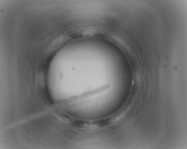 X0000076430311200610202251