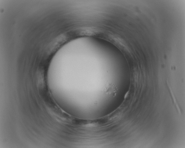 X0000076430312200610202251