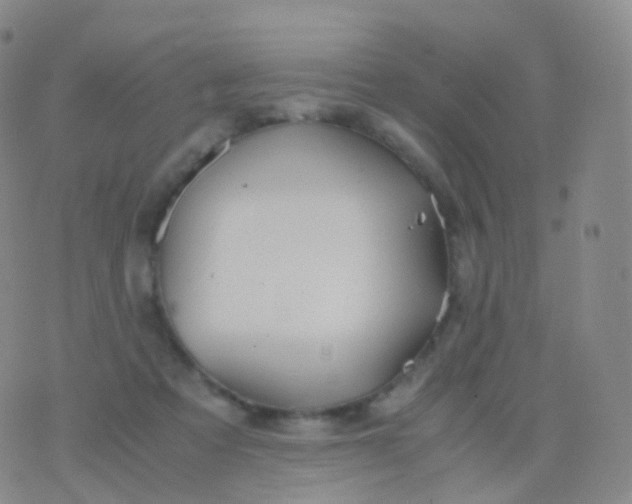 X0000076430313200610202251