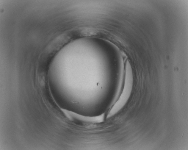 X0000076430315200610202251