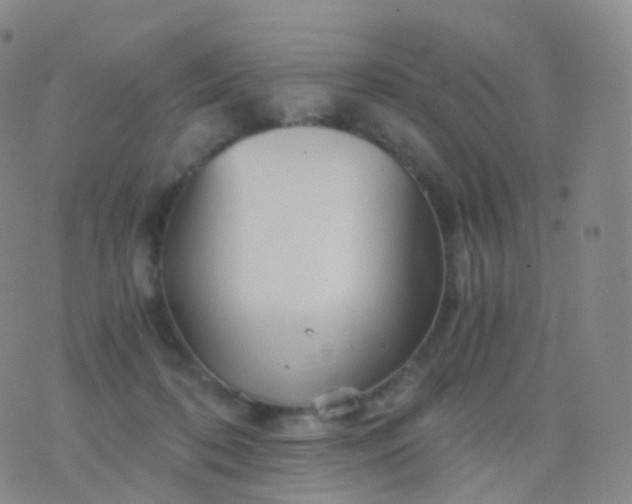 X0000076430316200610202251