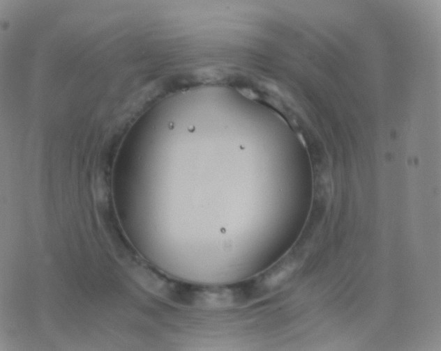 X0000076430317200610202251