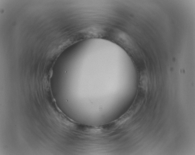 X0000076430318200610202251