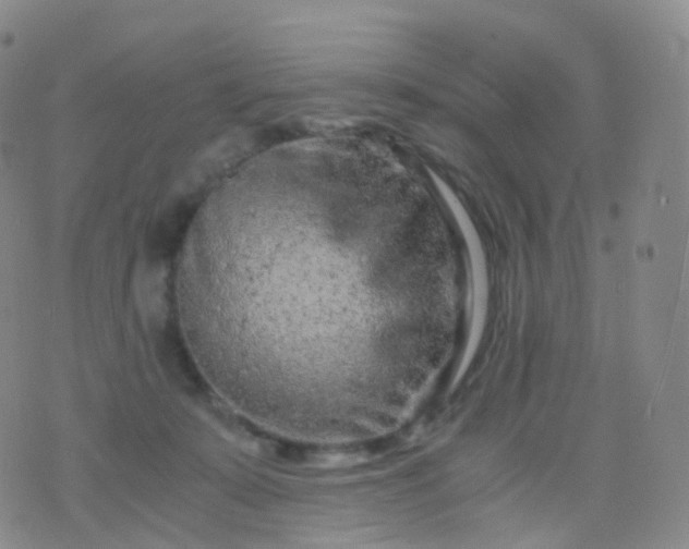 X0000076430319200610202251