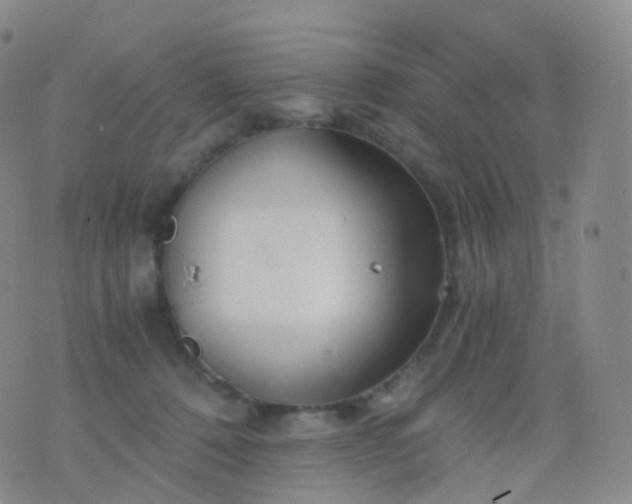 X0000076430320200610202251