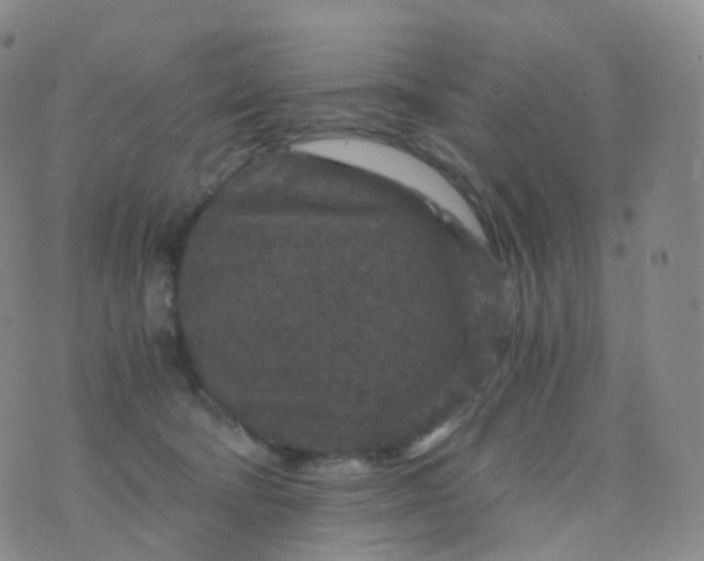 X0000076430322200610202251