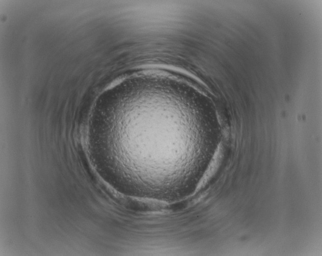 X0000076430323200610202251