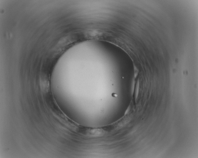 X0000076430324200610202251