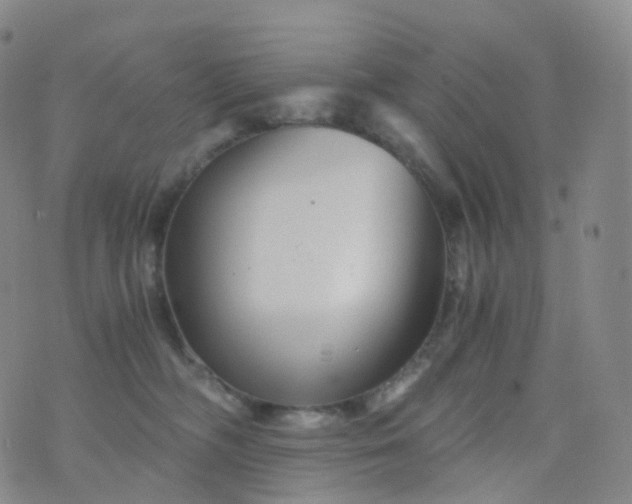 X0000076430326200610202251