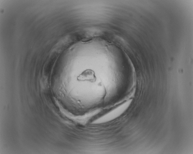 X0000076430327200610202251