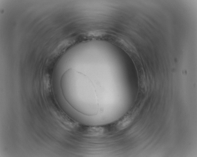 X0000076430328200610202251