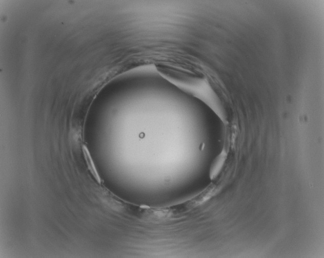 X0000076430329200610202251