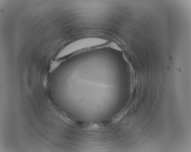 X0000076430330200610202251