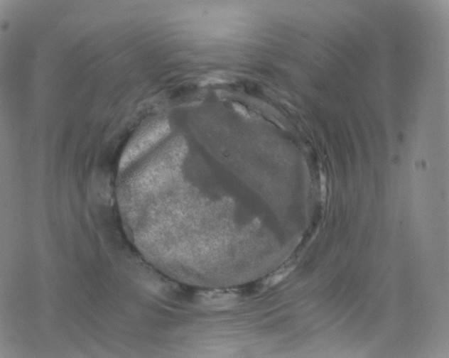 X0000076430331200610202251