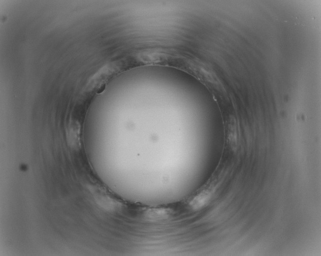 X0000076430332200610202251