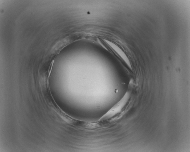 X0000076430333200610202251