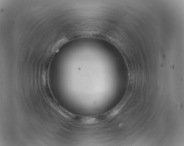 X0000076430334200610202251