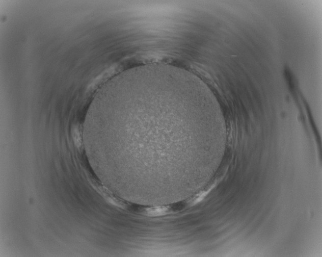 X0000076430335200610202251