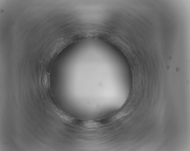 X0000076430336200610202251