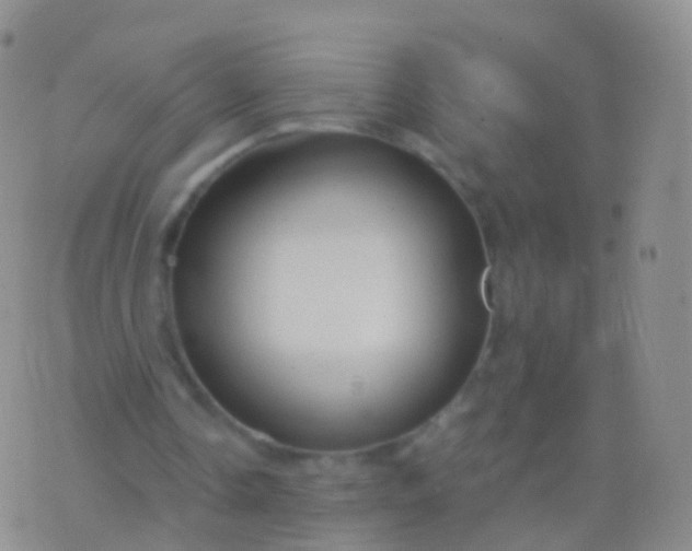 X0000076430338200610202250