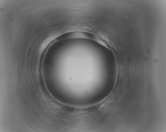 X0000076430340200610202250