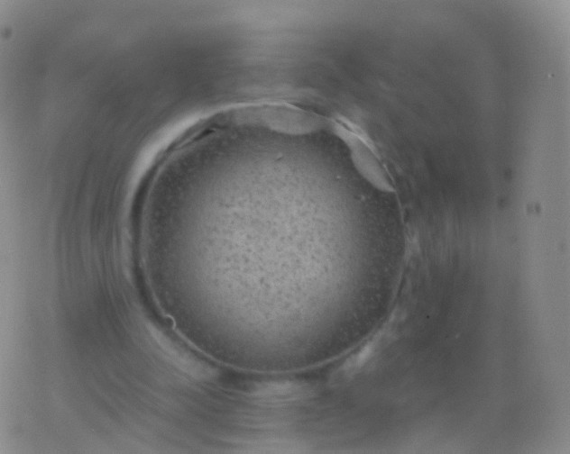 X0000076430342200610202250