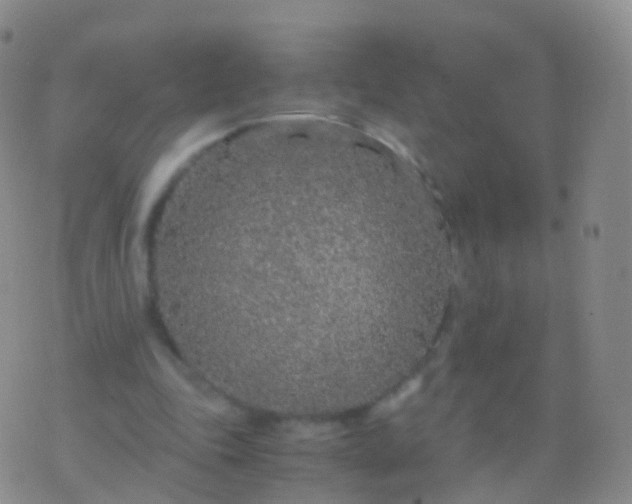 X0000076430343200610202250