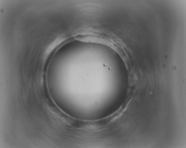 X0000076430344200610202250