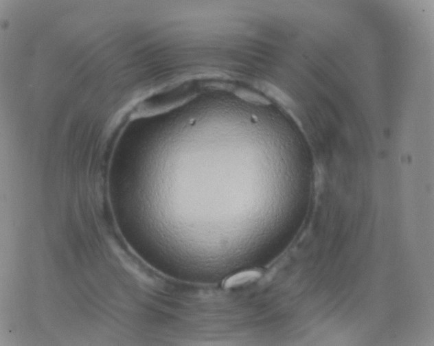 X0000076430345200610202250