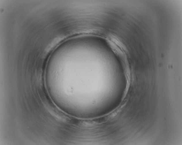 X0000076430346200610202250