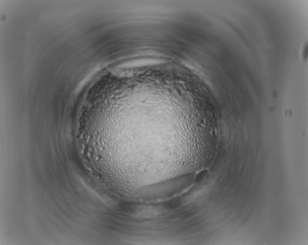 X0000076430347200610202250