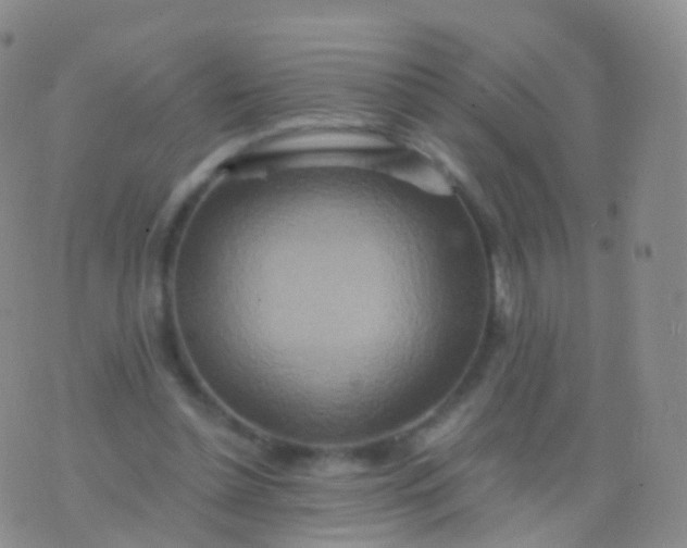 X0000076430348200610202250