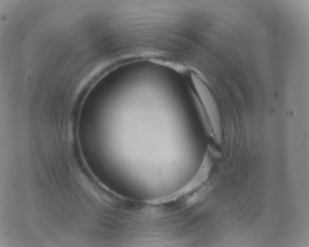 X0000076430350200610202250