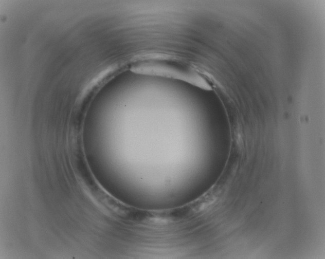 X0000076430352200610202250